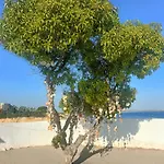 Appartemento Sol E Mar Appartement Armação de Pêra