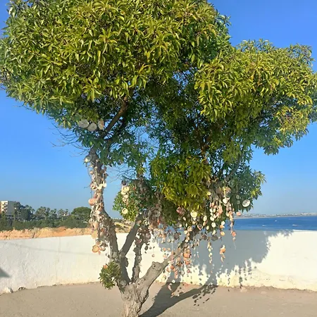 Appartemento Sol E Mar Apartment Armacao de Pera